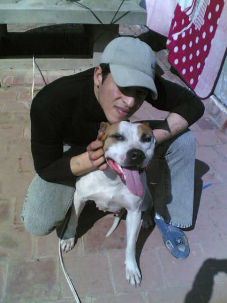 my & mafya