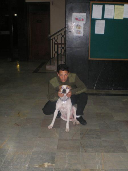 apar dj chui agen de securité métre chien lol